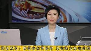泰山队核心外援离队传闻引发关注 文旅或将撤资